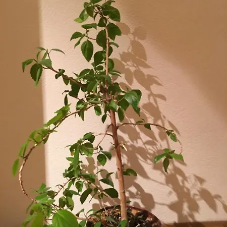 In Evropeiska Street, 25 Odessa