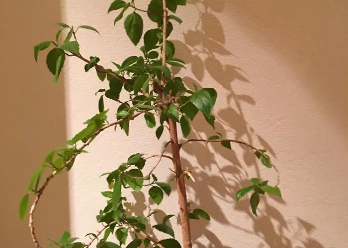 In Evropeiska Street, 25 Odessa